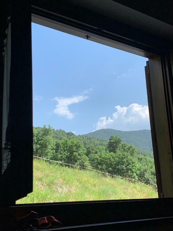 Can Marc De Pi, Bellver De Cerdanya Pi Bagian luar foto